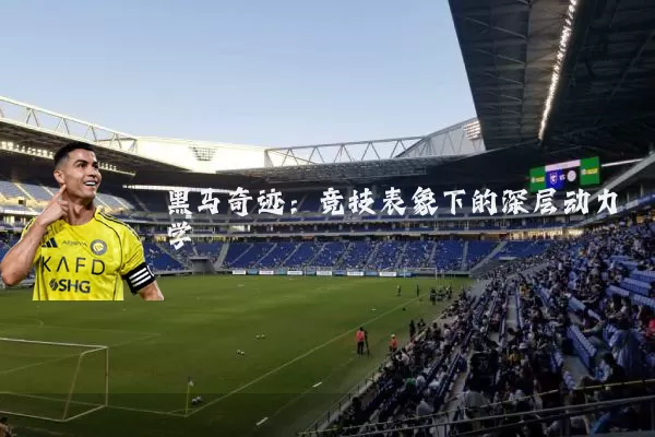 黑马奇迹:竞技表象下的深层动力学
